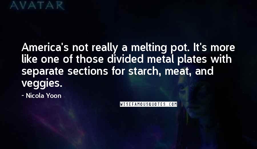 Nicola Yoon Quotes: America's not really a melting pot. It's more like one of those divided metal plates with separate sections for starch, meat, and veggies.