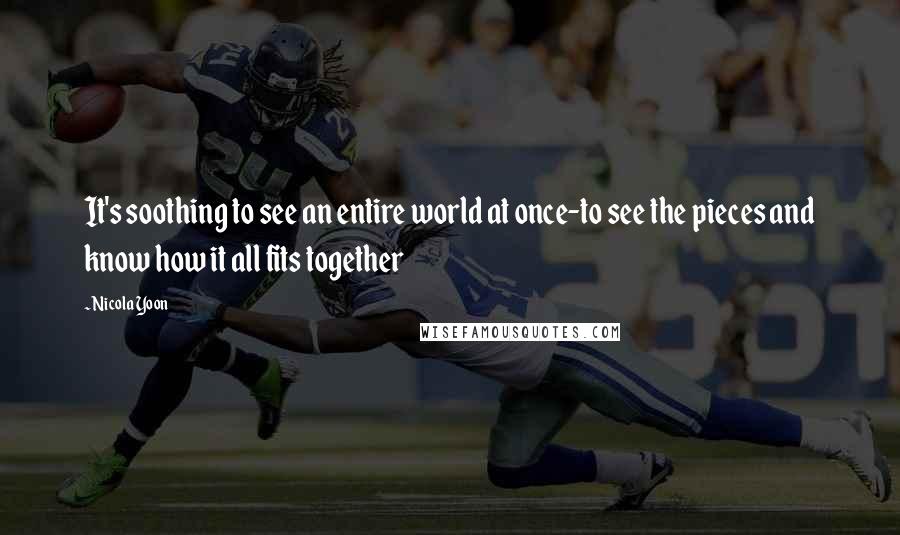 Nicola Yoon Quotes: It's soothing to see an entire world at once-to see the pieces and know how it all fits together