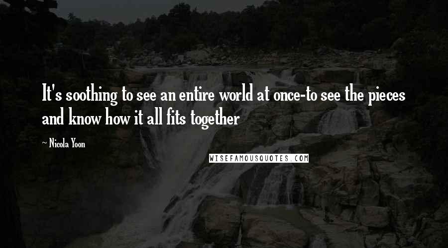 Nicola Yoon Quotes: It's soothing to see an entire world at once-to see the pieces and know how it all fits together