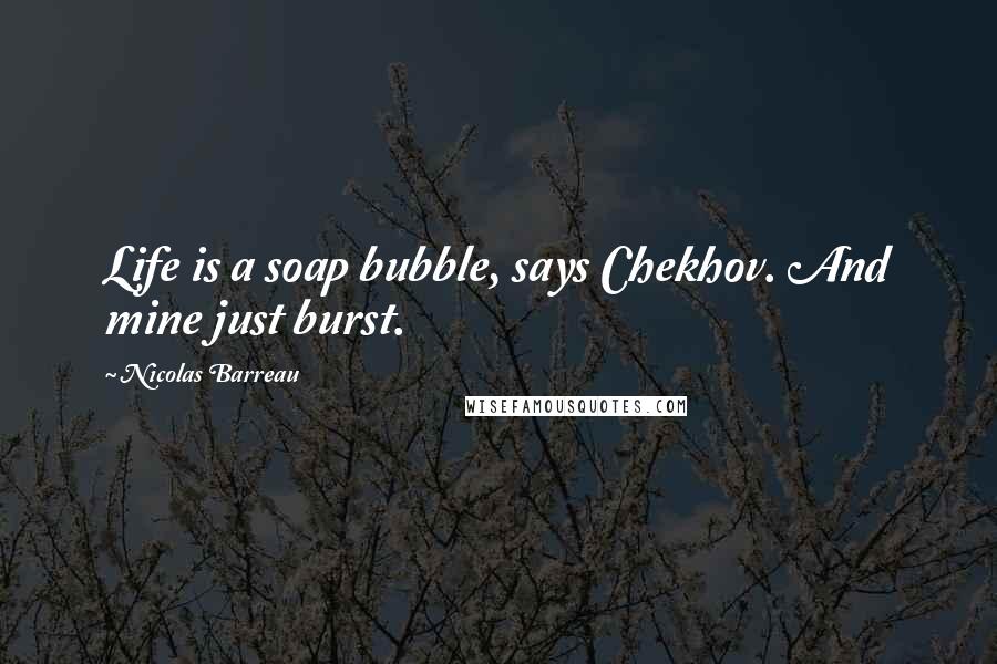 Nicolas Barreau Quotes: Life is a soap bubble, says Chekhov. And mine just burst.