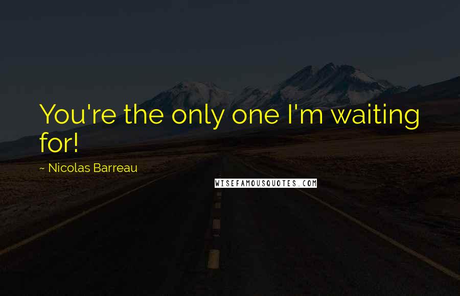 Nicolas Barreau Quotes: You're the only one I'm waiting for!