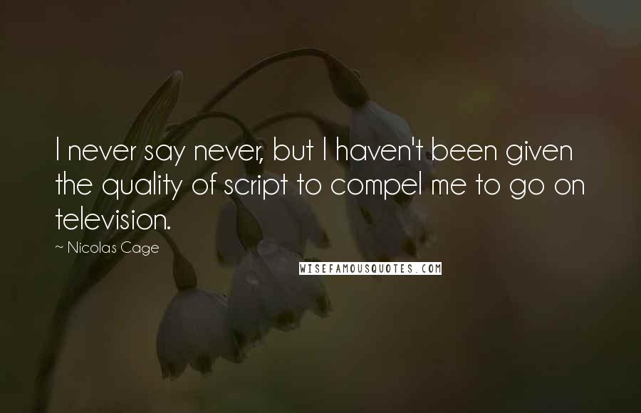 Nicolas Cage Quotes: I never say never, but I haven't been given the quality of script to compel me to go on television.