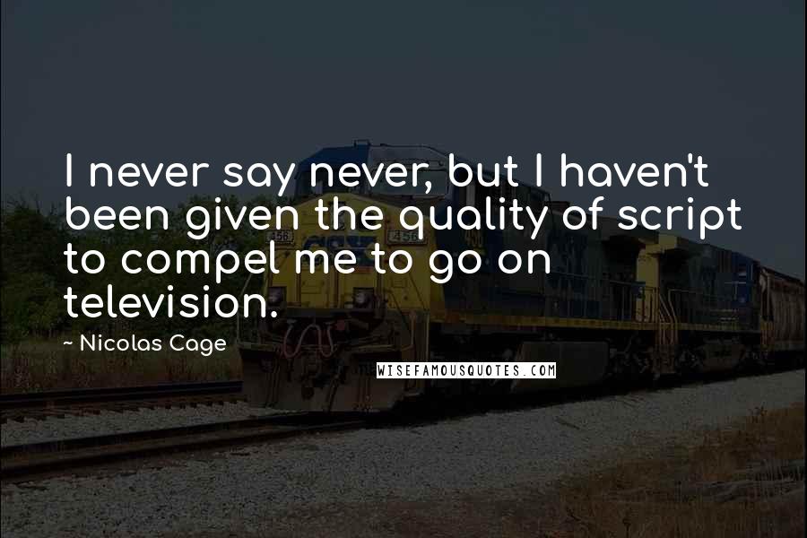 Nicolas Cage Quotes: I never say never, but I haven't been given the quality of script to compel me to go on television.