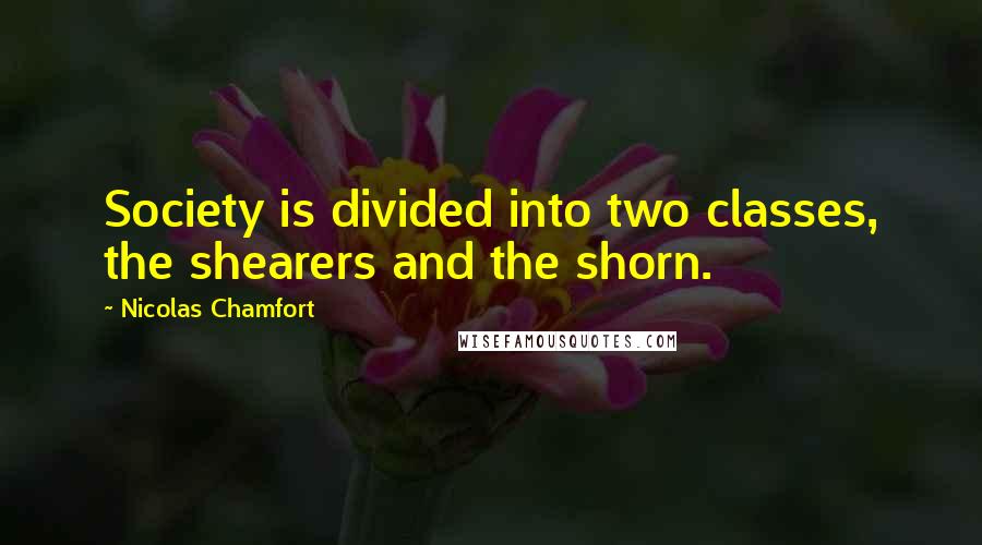 Nicolas Chamfort Quotes: Society is divided into two classes, the shearers and the shorn.