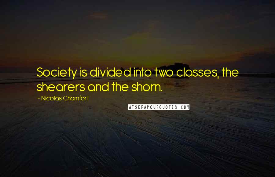 Nicolas Chamfort Quotes: Society is divided into two classes, the shearers and the shorn.