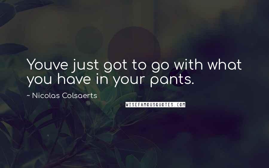 Nicolas Colsaerts Quotes: Youve just got to go with what you have in your pants.