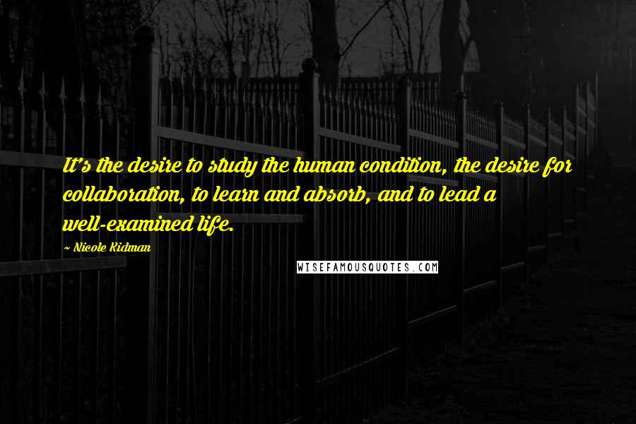 Nicole Kidman Quotes: It's the desire to study the human condition, the desire for collaboration, to learn and absorb, and to lead a well-examined life.