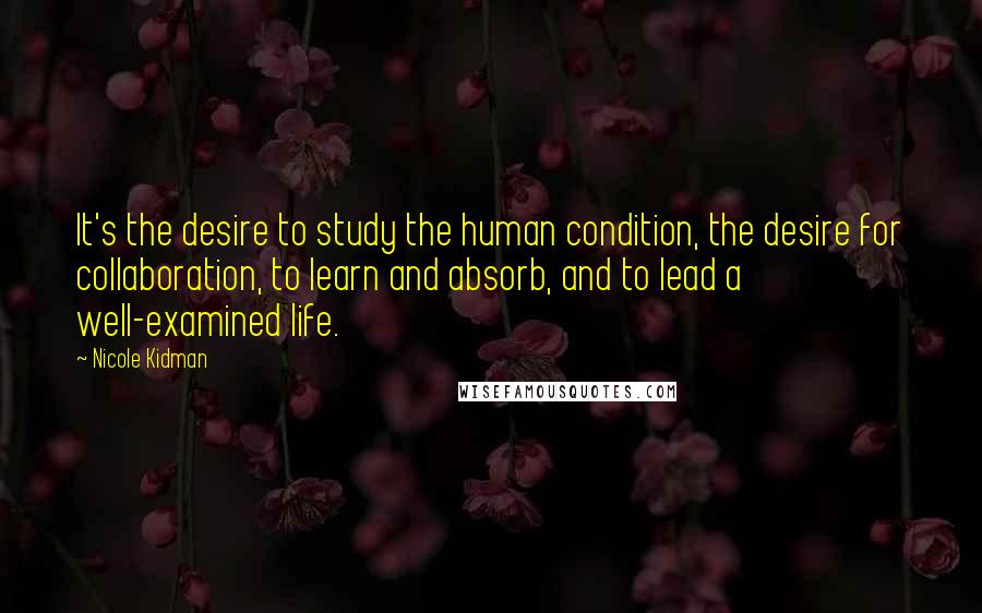 Nicole Kidman Quotes: It's the desire to study the human condition, the desire for collaboration, to learn and absorb, and to lead a well-examined life.