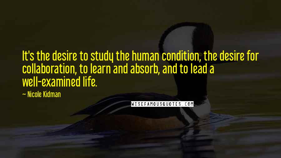 Nicole Kidman Quotes: It's the desire to study the human condition, the desire for collaboration, to learn and absorb, and to lead a well-examined life.