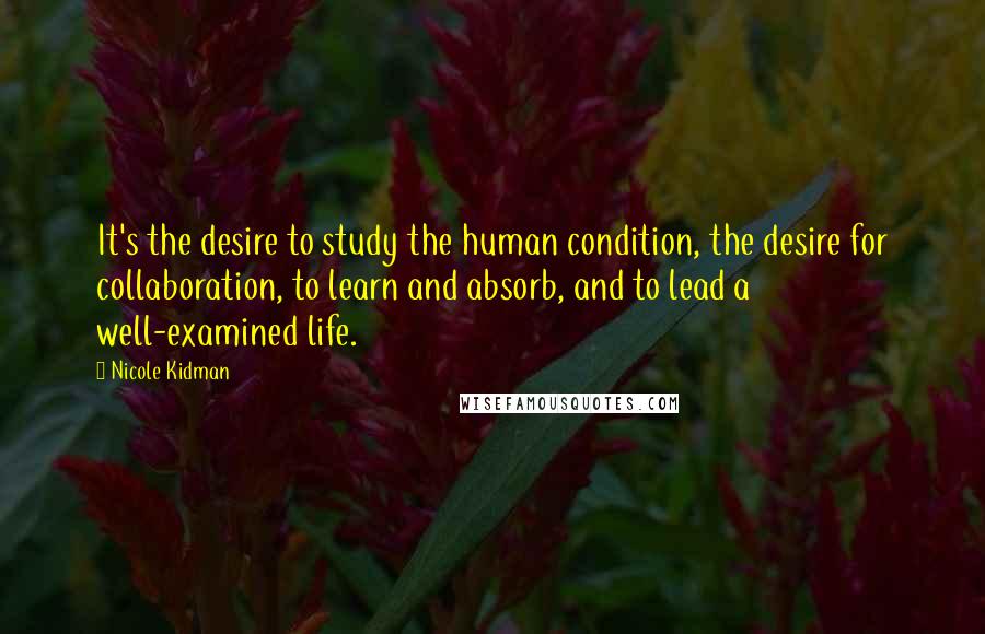 Nicole Kidman Quotes: It's the desire to study the human condition, the desire for collaboration, to learn and absorb, and to lead a well-examined life.