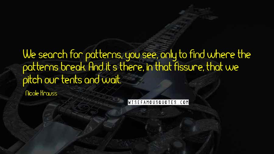 Nicole Krauss Quotes: We search for patterns, you see, only to find where the patterns break. And it's there, in that fissure, that we pitch our tents and wait.