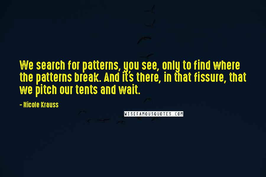 Nicole Krauss Quotes: We search for patterns, you see, only to find where the patterns break. And it's there, in that fissure, that we pitch our tents and wait.