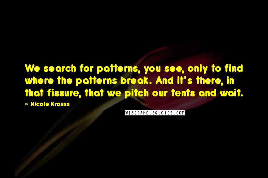 Nicole Krauss Quotes: We search for patterns, you see, only to find where the patterns break. And it's there, in that fissure, that we pitch our tents and wait.