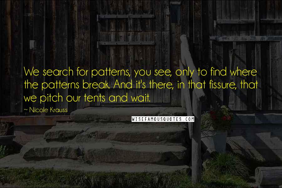 Nicole Krauss Quotes: We search for patterns, you see, only to find where the patterns break. And it's there, in that fissure, that we pitch our tents and wait.