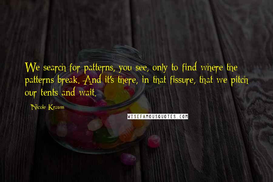 Nicole Krauss Quotes: We search for patterns, you see, only to find where the patterns break. And it's there, in that fissure, that we pitch our tents and wait.