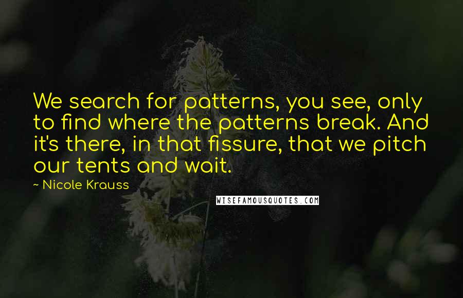 Nicole Krauss Quotes: We search for patterns, you see, only to find where the patterns break. And it's there, in that fissure, that we pitch our tents and wait.