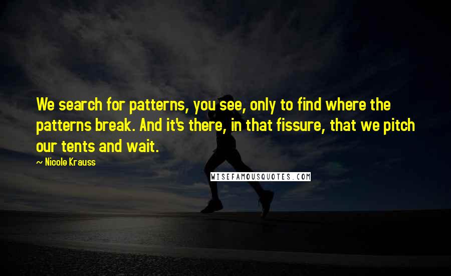 Nicole Krauss Quotes: We search for patterns, you see, only to find where the patterns break. And it's there, in that fissure, that we pitch our tents and wait.