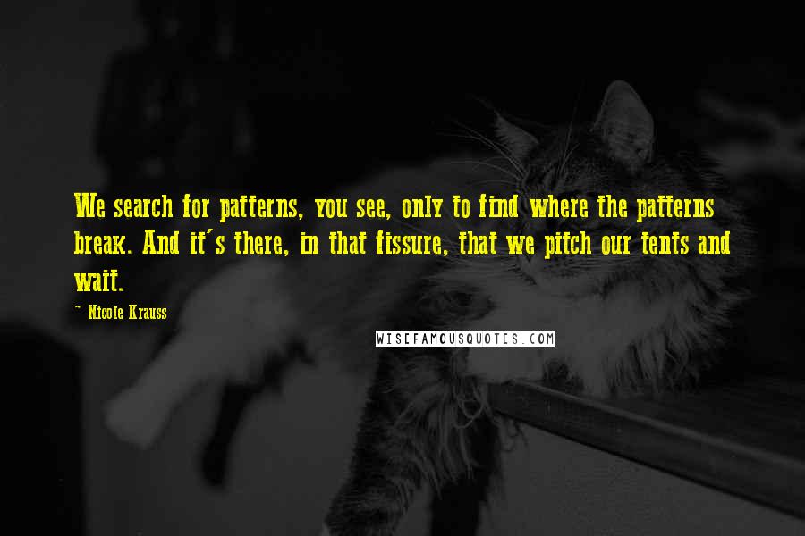 Nicole Krauss Quotes: We search for patterns, you see, only to find where the patterns break. And it's there, in that fissure, that we pitch our tents and wait.