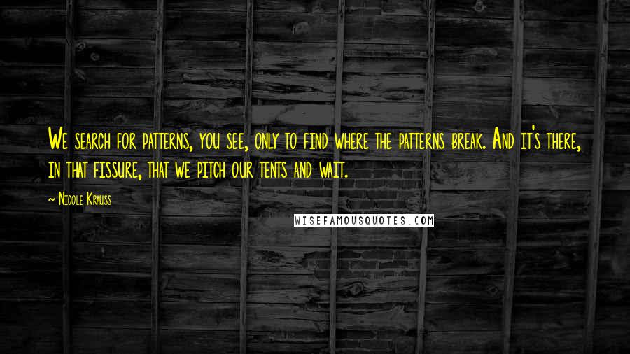 Nicole Krauss Quotes: We search for patterns, you see, only to find where the patterns break. And it's there, in that fissure, that we pitch our tents and wait.