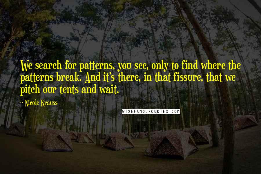 Nicole Krauss Quotes: We search for patterns, you see, only to find where the patterns break. And it's there, in that fissure, that we pitch our tents and wait.