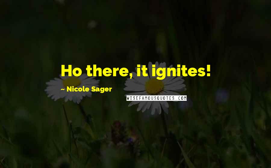 Nicole Sager Quotes: Ho there, it ignites!