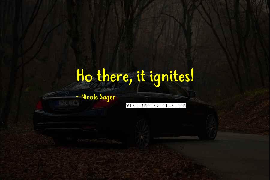 Nicole Sager Quotes: Ho there, it ignites!