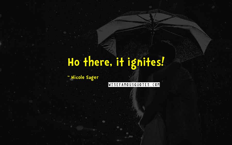 Nicole Sager Quotes: Ho there, it ignites!