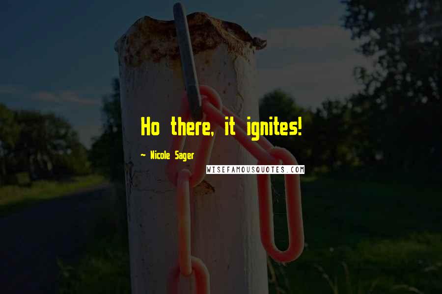 Nicole Sager Quotes: Ho there, it ignites!