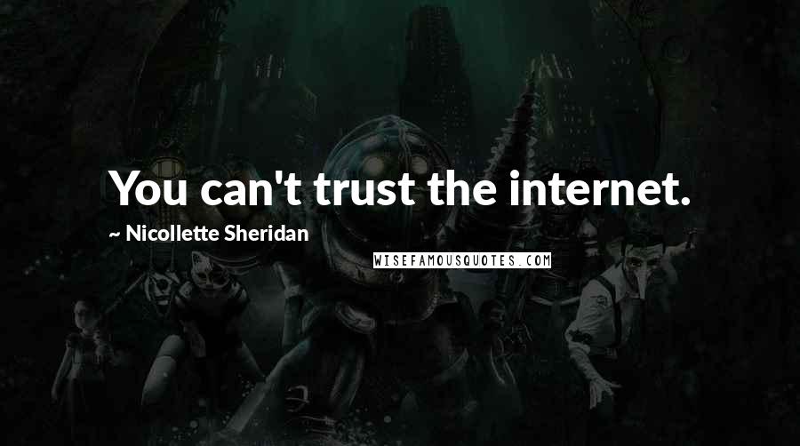 Nicollette Sheridan Quotes: You can't trust the internet.