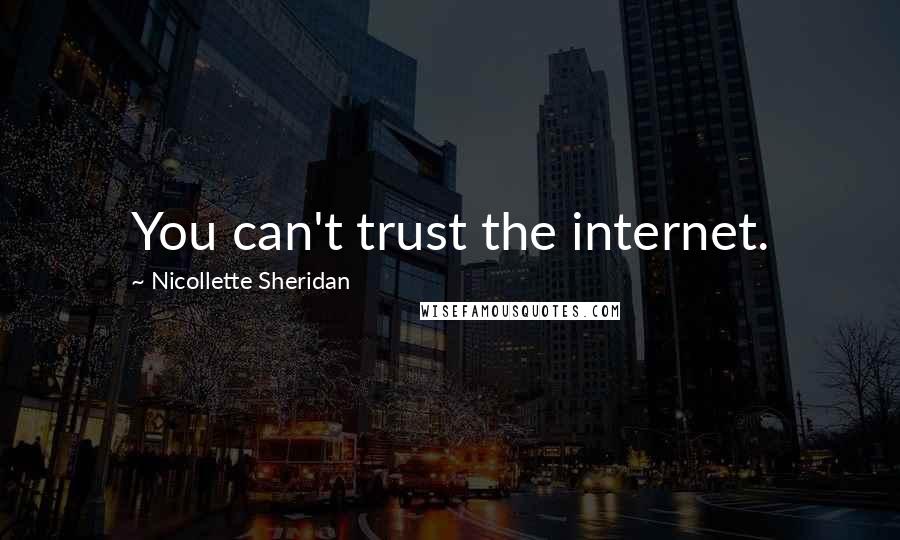 Nicollette Sheridan Quotes: You can't trust the internet.