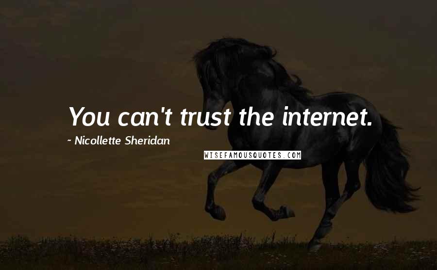 Nicollette Sheridan Quotes: You can't trust the internet.