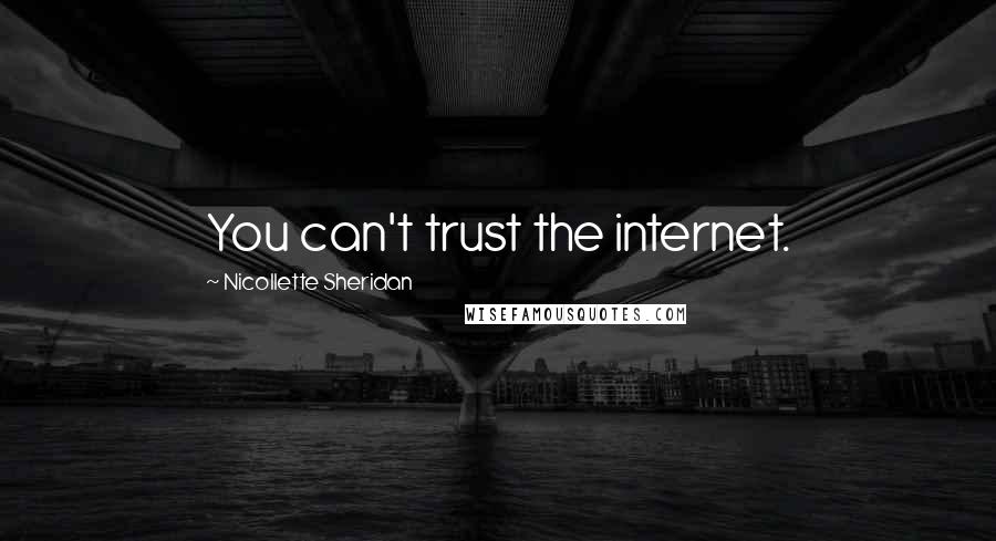 Nicollette Sheridan Quotes: You can't trust the internet.