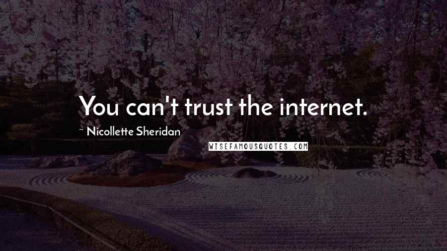 Nicollette Sheridan Quotes: You can't trust the internet.