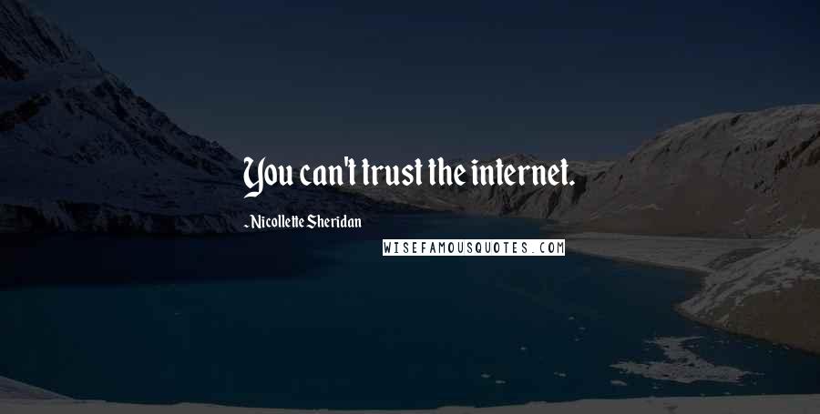Nicollette Sheridan Quotes: You can't trust the internet.