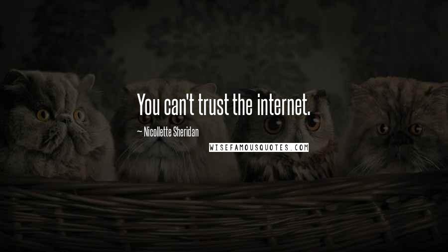 Nicollette Sheridan Quotes: You can't trust the internet.