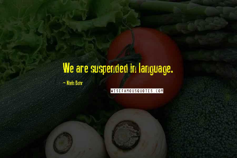 Niels Bohr Quotes: We are suspended in language.