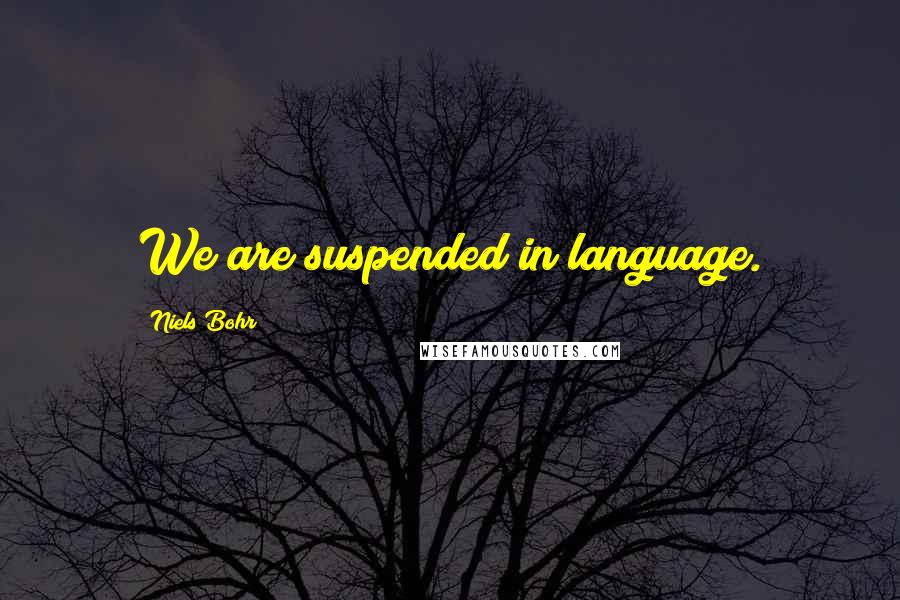 Niels Bohr Quotes: We are suspended in language.