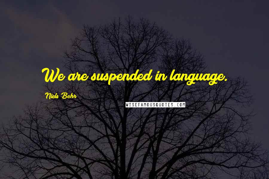 Niels Bohr Quotes: We are suspended in language.