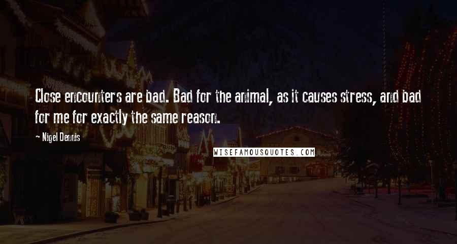 Nigel Dennis Quotes: Close encounters are bad. Bad for the animal, as it causes stress, and bad for me for exactly the same reason.