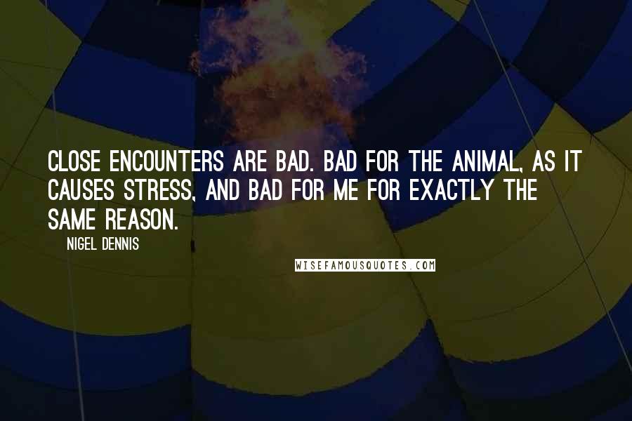 Nigel Dennis Quotes: Close encounters are bad. Bad for the animal, as it causes stress, and bad for me for exactly the same reason.