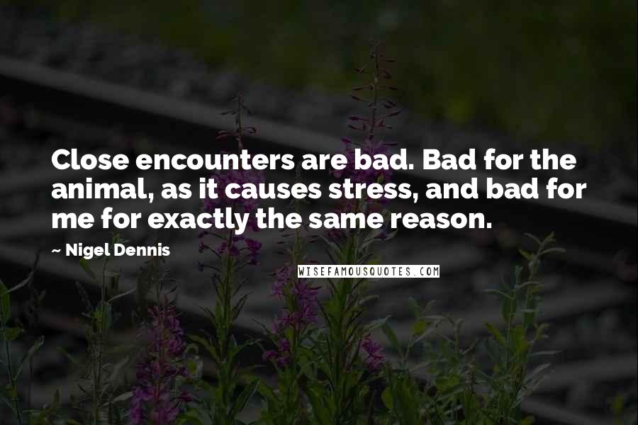 Nigel Dennis Quotes: Close encounters are bad. Bad for the animal, as it causes stress, and bad for me for exactly the same reason.