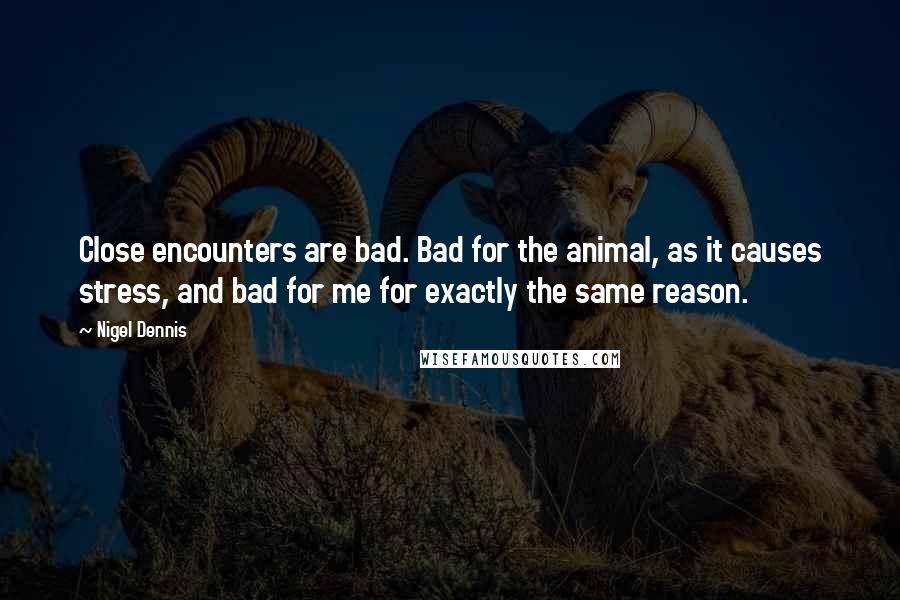 Nigel Dennis Quotes: Close encounters are bad. Bad for the animal, as it causes stress, and bad for me for exactly the same reason.