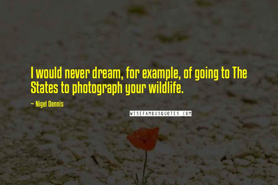 Nigel Dennis Quotes: I would never dream, for example, of going to The States to photograph your wildlife.