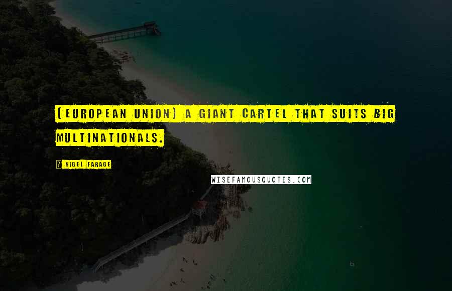 Nigel Farage Quotes: [European Union] a giant cartel that suits big multinationals.