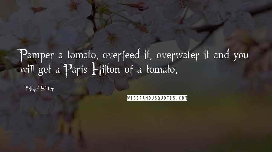 Nigel Slater Quotes: Pamper a tomato, overfeed it, overwater it and you will get a Paris Hilton of a tomato.