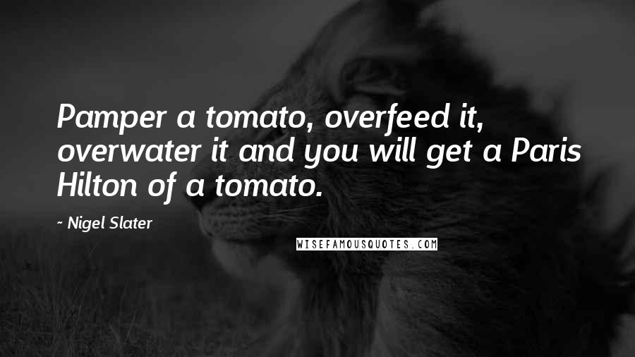 Nigel Slater Quotes: Pamper a tomato, overfeed it, overwater it and you will get a Paris Hilton of a tomato.