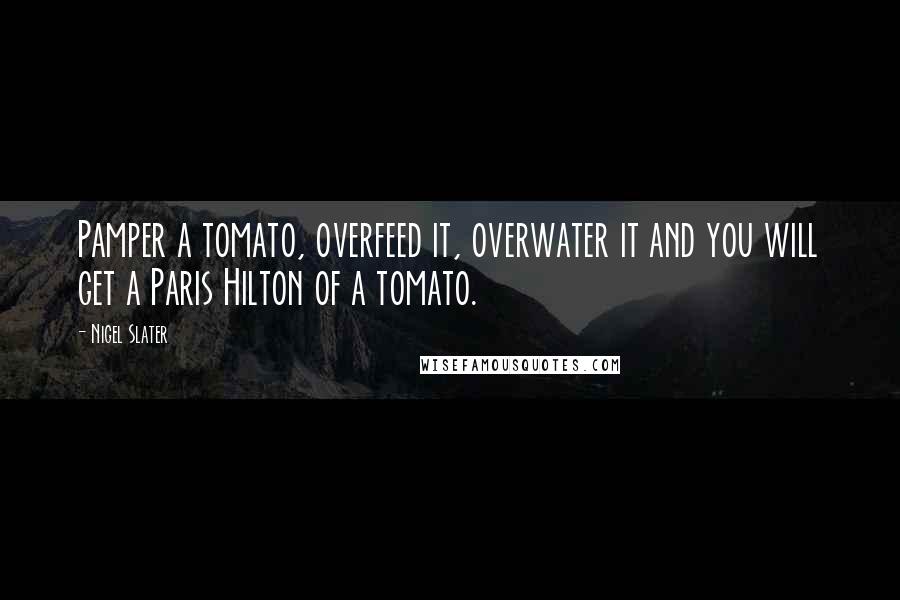 Nigel Slater Quotes: Pamper a tomato, overfeed it, overwater it and you will get a Paris Hilton of a tomato.