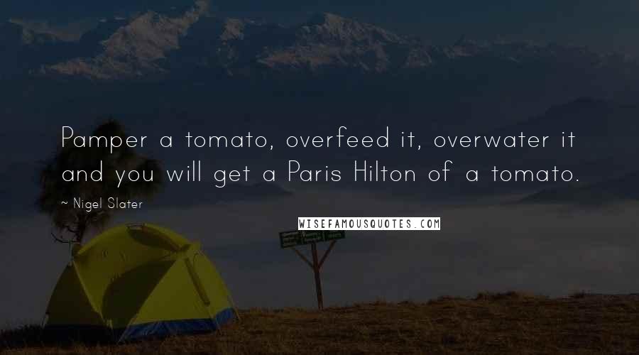 Nigel Slater Quotes: Pamper a tomato, overfeed it, overwater it and you will get a Paris Hilton of a tomato.