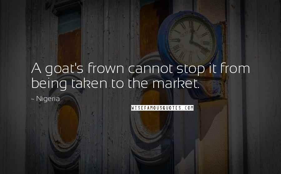 Nigeria Quotes: A goat's frown cannot stop it from being taken to the market.