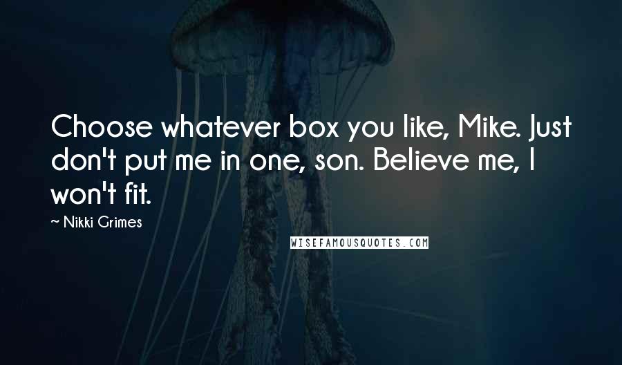 Nikki Grimes Quotes: Choose whatever box you like, Mike. Just don't put me in one, son. Believe me, I won't fit.